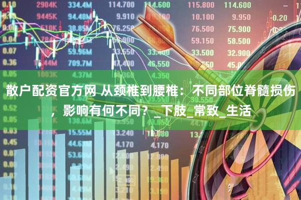 散户配资官方网 从颈椎到腰椎：不同部位脊髓损伤，影响有何不同？_下肢_常致_生活