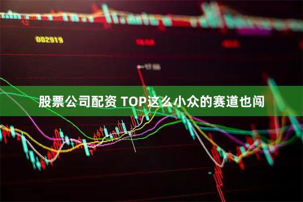 股票公司配资 TOP这么小众的赛道也闯